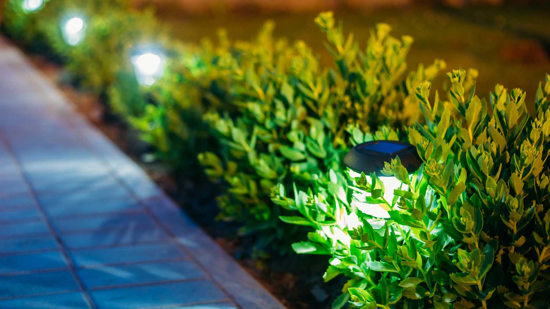 Landscape along a sidewalk with custom lighting at a property in Tellico Village.